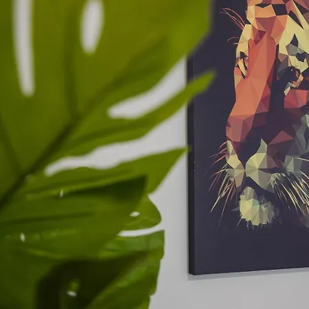 Guestready - Vera Cruz